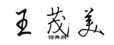 駱恆光王茂美行書個性簽名怎么寫