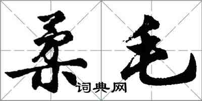 胡問遂柔毛行書怎么寫