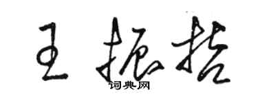 駱恆光王振哲草書個性簽名怎么寫
