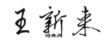 駱恆光王新來行書個性簽名怎么寫