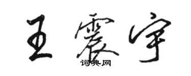 駱恆光王震宇行書個性簽名怎么寫