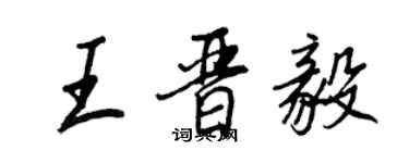 王正良王晉毅行書個性簽名怎么寫