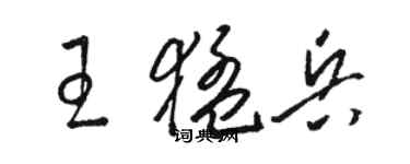 駱恆光王猛兵草書個性簽名怎么寫