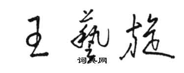 駱恆光王藝旋草書個性簽名怎么寫