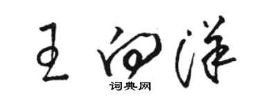 駱恆光王向洋草書個性簽名怎么寫