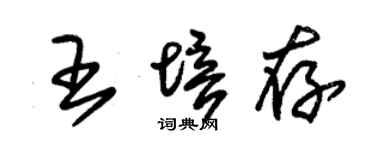 朱錫榮王培存草書個性簽名怎么寫