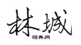 駱恆光林城行書個性簽名怎么寫