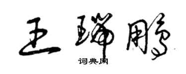 曾慶福王瑞鵬草書個性簽名怎么寫