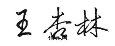 駱恆光王杏林行書個性簽名怎么寫