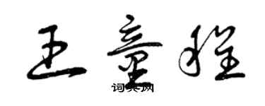 曾慶福王童程草書個性簽名怎么寫