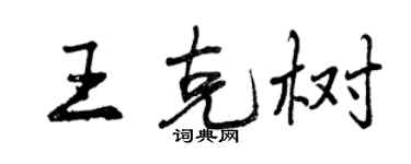 曾慶福王克樹行書個性簽名怎么寫
