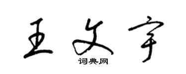 梁錦英王文宇草書個性簽名怎么寫