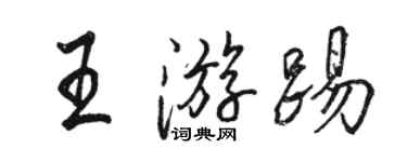 駱恆光王游踢行書個性簽名怎么寫