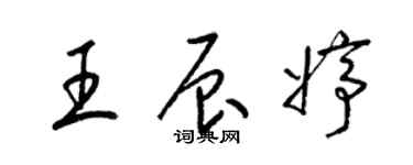 梁錦英王辰婷草書個性簽名怎么寫