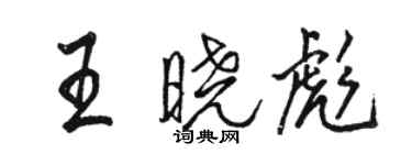 駱恆光王曉彪行書個性簽名怎么寫