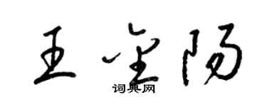 梁錦英王金陽草書個性簽名怎么寫