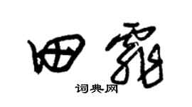 朱錫榮田霏草書個性簽名怎么寫