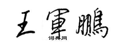 王正良王軍鵬行書個性簽名怎么寫