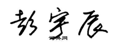 朱錫榮彭宇辰草書個性簽名怎么寫