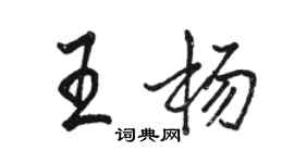 駱恆光王楊行書個性簽名怎么寫