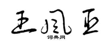 曾慶福王風臣草書個性簽名怎么寫