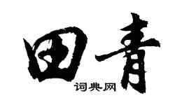 胡問遂田青行書個性簽名怎么寫