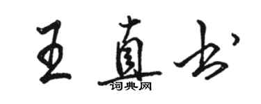 駱恆光王直書行書個性簽名怎么寫