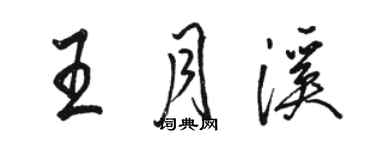 駱恆光王月溪行書個性簽名怎么寫