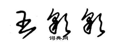 朱錫榮王彩彩草書個性簽名怎么寫