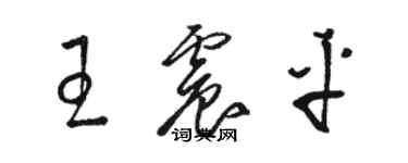 駱恆光王震平草書個性簽名怎么寫