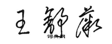 駱恆光王舒薇草書個性簽名怎么寫