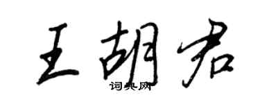 王正良王胡君行書個性簽名怎么寫