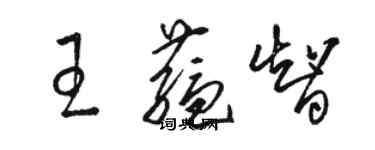 駱恆光王蘊智草書個性簽名怎么寫