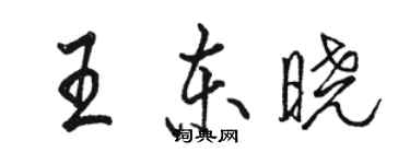 駱恆光王東曉行書個性簽名怎么寫