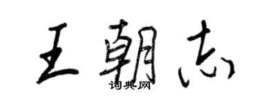 王正良王朝志行書個性簽名怎么寫