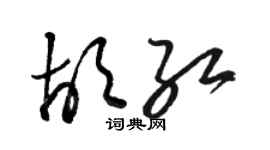 駱恆光胡紅草書個性簽名怎么寫