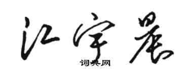 駱恆光江宇晨草書個性簽名怎么寫