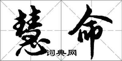 胡問遂慧命行書怎么寫