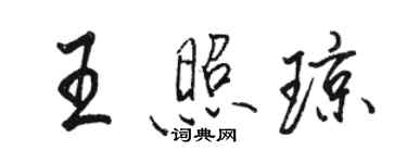 駱恆光王照瓊行書個性簽名怎么寫