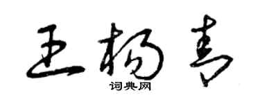 曾慶福王楊青草書個性簽名怎么寫