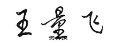 駱恆光王量飛行書個性簽名怎么寫