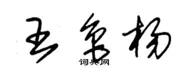 朱錫榮王魯楊草書個性簽名怎么寫