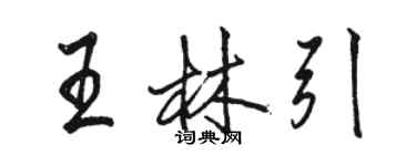 駱恆光王林引行書個性簽名怎么寫