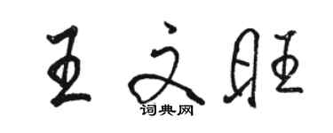 駱恆光王文旺行書個性簽名怎么寫