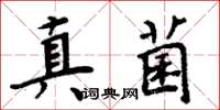 周炳元真菌楷書怎么寫