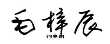 朱錫榮毛梓辰草書個性簽名怎么寫