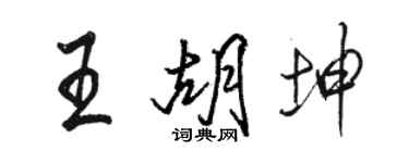 駱恆光王胡坤行書個性簽名怎么寫