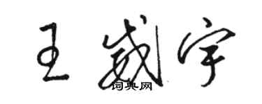 駱恆光王威宇草書個性簽名怎么寫