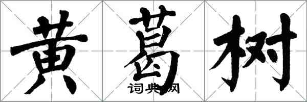 翁闓運黃葛樹楷書怎么寫