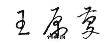 駱恆光王原慶草書個性簽名怎么寫